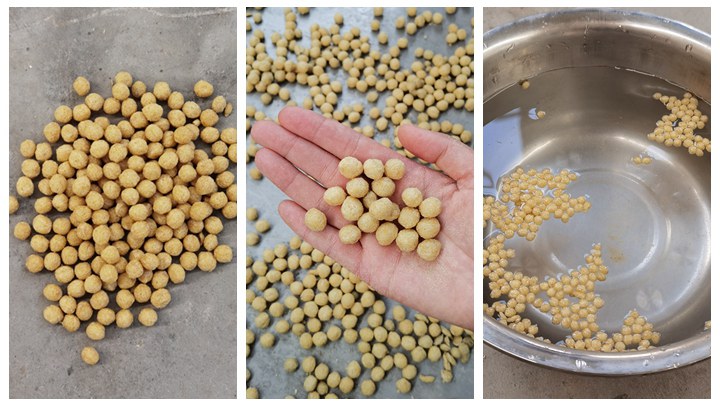 <h3>dry type koi fish feed processing machinery and equipment in </h3>
